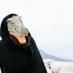 cold-blooded animals